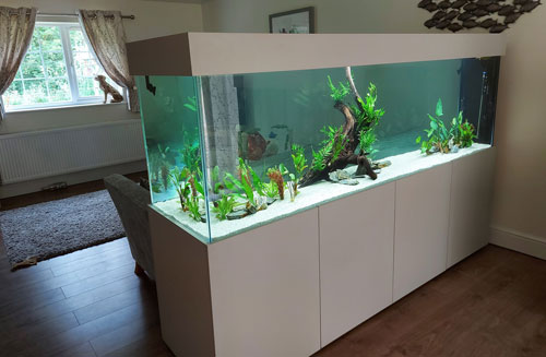 Room Divider Aquarium setup